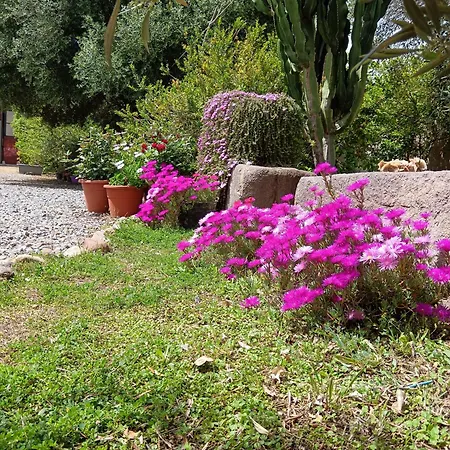 Sulcis Homestay